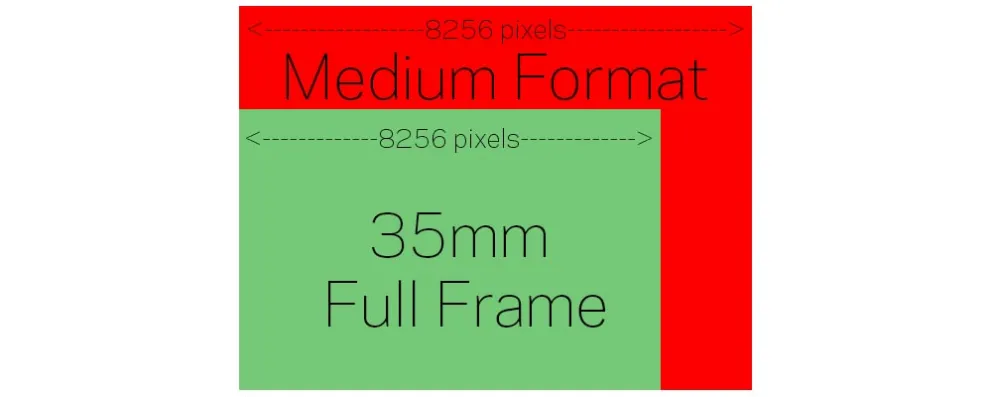 Sensor Size Compared.jpg